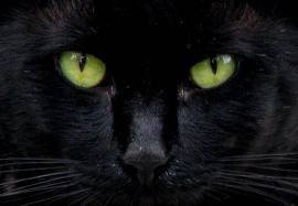 banishing spells, banish spells, breaking curses, protection spells, magic spells
