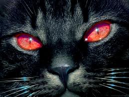 death spells, black magic spells, protection spells, hexes, curses, protection enemy spells