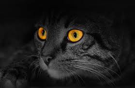 spirits invocations, spirits calling formulas, conquer spirits , spells to contact the dead, dead spirits